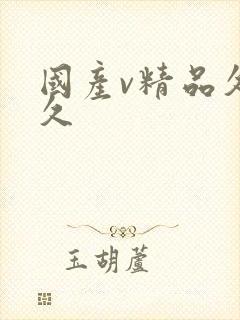 国产v精品久久久