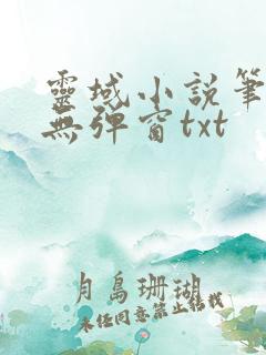 灵域小说笔趣阁无弹窗txt
