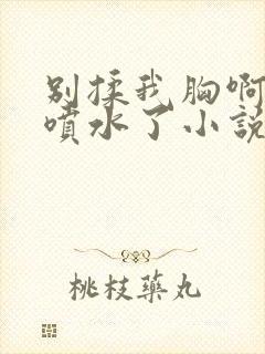 别揉我胸啊嗯～喷水了小说