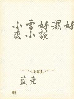 小雪好湿好紧太爽小说