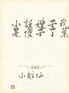 小说嫂子我真不是傻子了叶凡免费全集