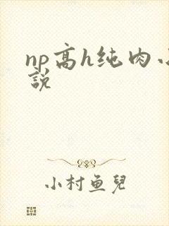 np高h纯肉小说