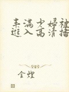 丰满少妇被猛烈进入高清播放久久