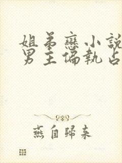 姐弟恋小说推荐男主偏执占有欲强