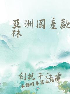 亚洲国产欧美丝袜