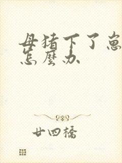 母猪下了崽没奶怎么办