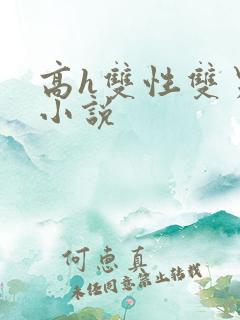 高h双性双男主小说