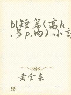 bl短篇(高h,多p,肉) 小说