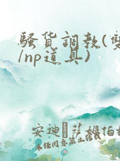 骚货调教(双性/np道具)