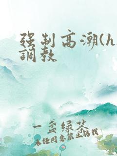 强制高潮(h)调教