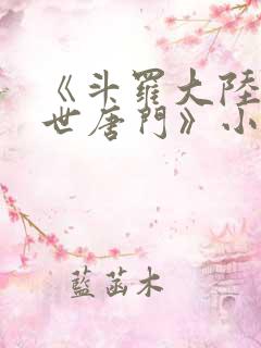 《斗罗大陆2绝世唐门》小说