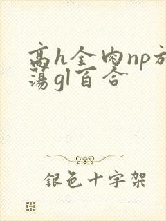 高h全肉np放荡gl百合