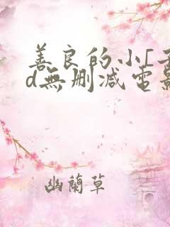 善良的小[子hd无删减电影