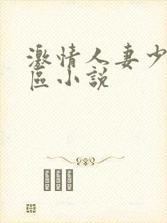 激情人妻少妇一区小说