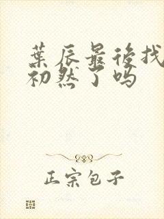 叶辰最后找到萧初然了吗