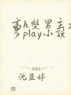 高h双男主大奶多play小说