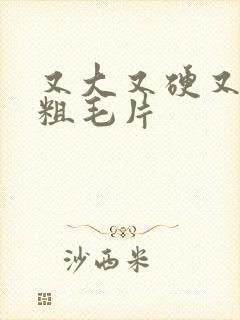 又大又硬又黄又粗毛片