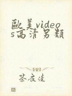 欧美videos高清另类