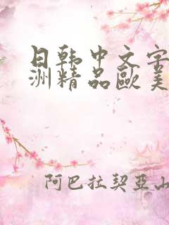 日韩中文字幕亚洲精品欧美