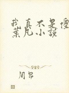 我真不是傻子了叶凡小说