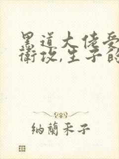 黑道大佬受,暗卫攻,生子的小说叫什么