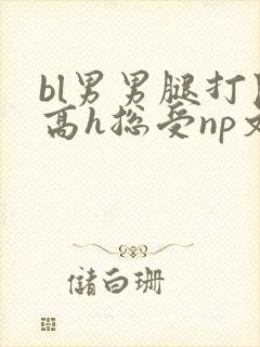 bl男男腿打开高h总受np文
