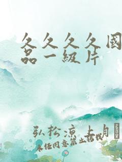 久久久久国产精品一级片