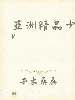 亚洲精品少妇av