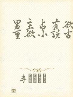 男主占有欲强且重欲小说古言