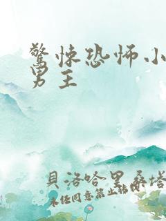 惊悚恐怖小说双男主