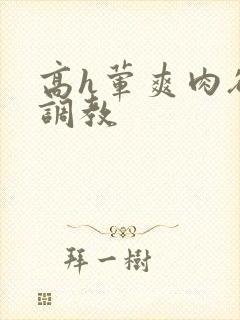 高h荤爽肉欲文调教