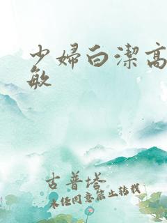 少妇白洁高义张敏