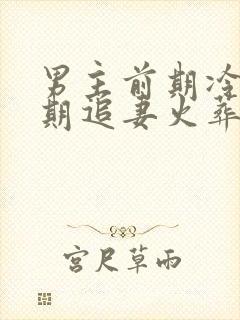 男主前期冷淡后期追妻火葬场