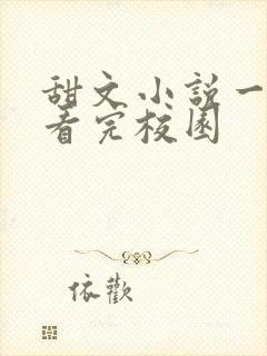 甜文小说一口气看完校园