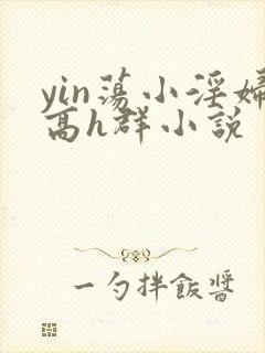 yin荡小淫妇高h群小说