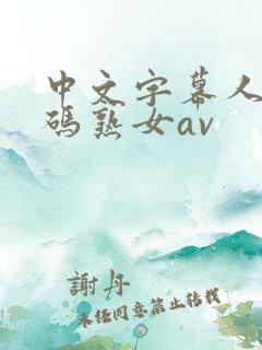 中文字幕人成乱码熟女av