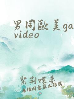 男同欧美gay video
