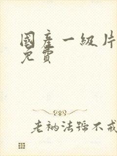 国产一级片在线免费