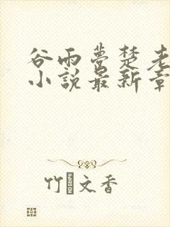 谷雨梦楚老周的小说最新章节