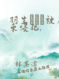 羽生ありさ被房东侵犯,