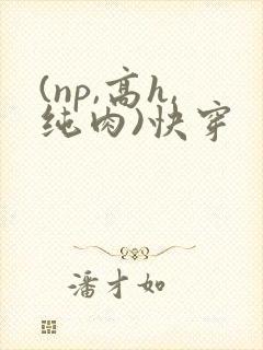 (np,高h,纯肉)快穿