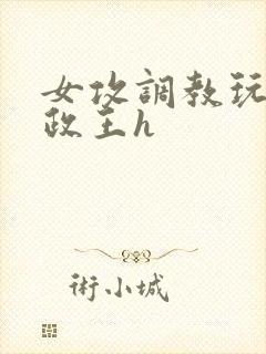 女攻调教玩弄摄政王h