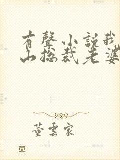 有声小说我的冰山总裁老婆