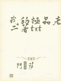 我的极品老婆小二著txt