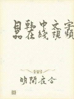 日韩中文字幕精品在线视频