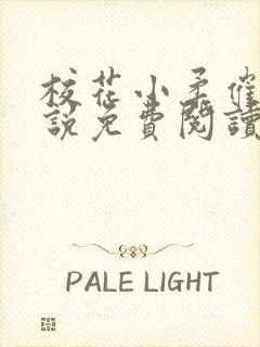 校花小柔催眠小说免费阅读无弹窗