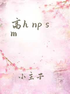 高h np sm
