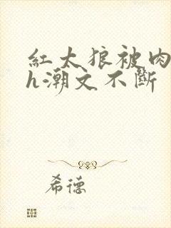 红太狼被肉干高h潮文不断