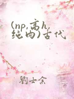 (np,高h,纯肉)古代