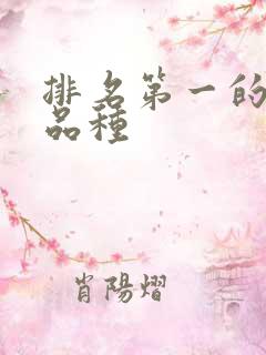 排名第一的甜瓜品种